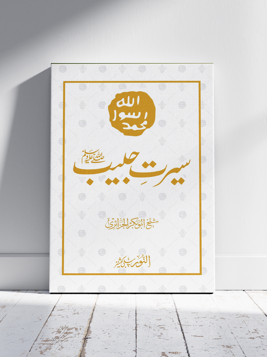 Seerat e Habib Poster