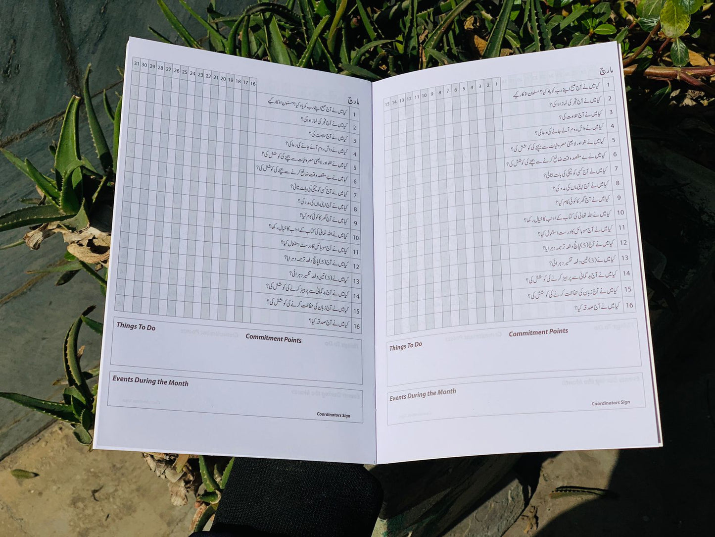 My Life Style Management Diary